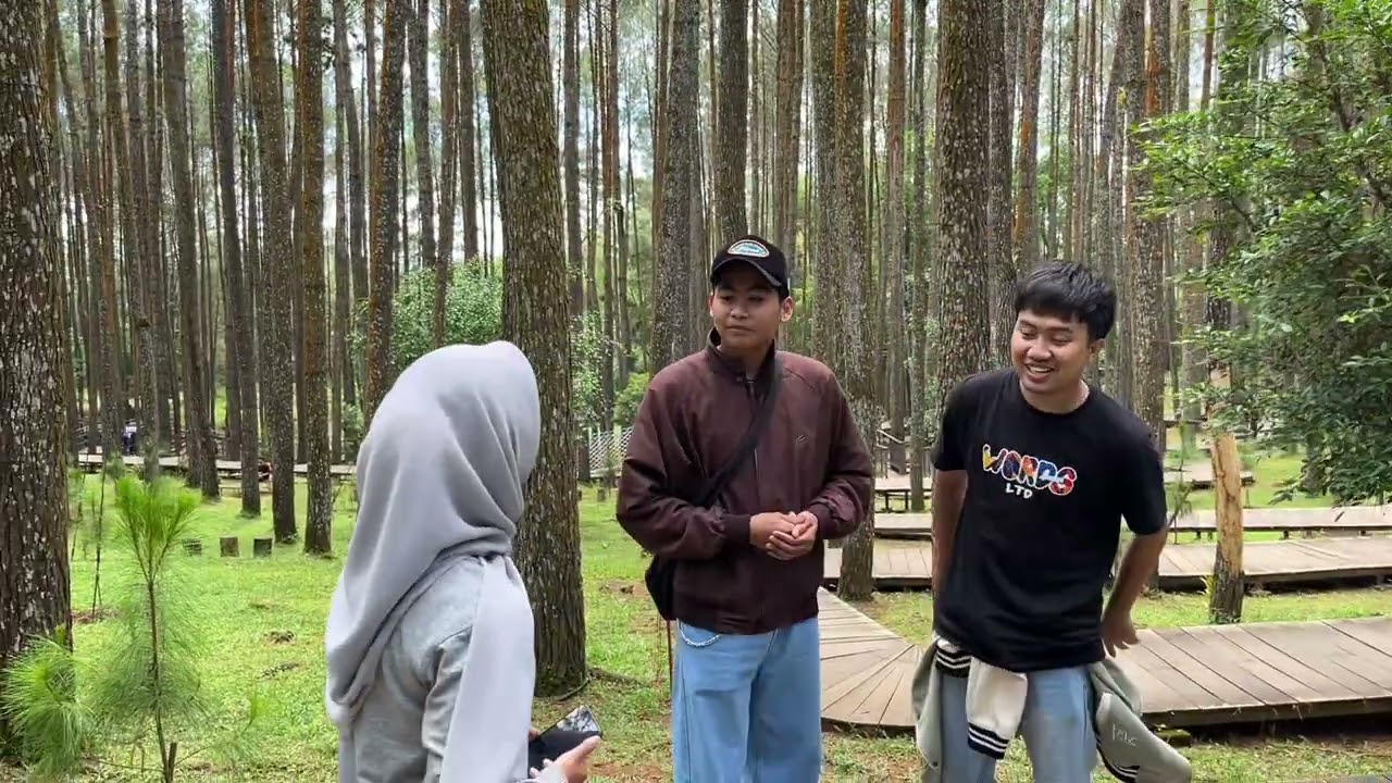 Menikmati Tenangnya Alam Di Wisata Hutan Pinus Mangunan