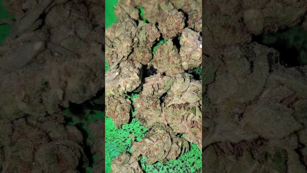 Sour OG