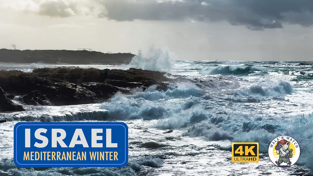 Mediterranean in Winter: Raw Beauty of Hof Dor Coast, Israel 🌊 🇮🇱  #storm #waves #israel