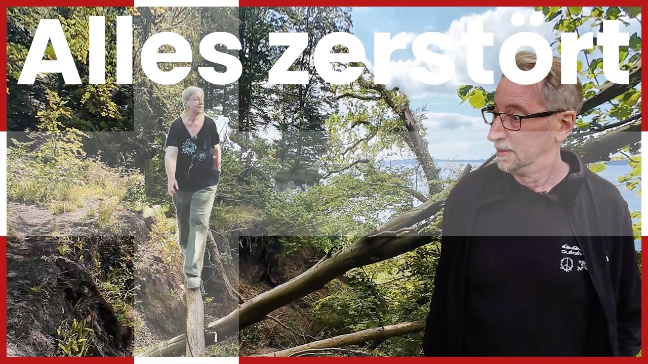Kommt mit nach Dänemark! - wandern in Trelde Næs, Fossilien suchen (nicht wirklich), Klippen kraxeln