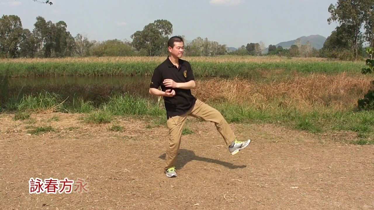 Sifu Edmund Fong - Demonstrate Chum Kiu
