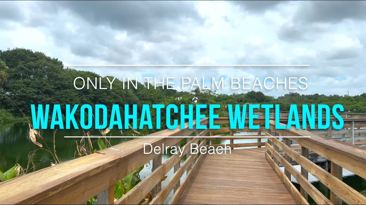 Wakodahatchee Wetlands | Only in The Palm Beaches