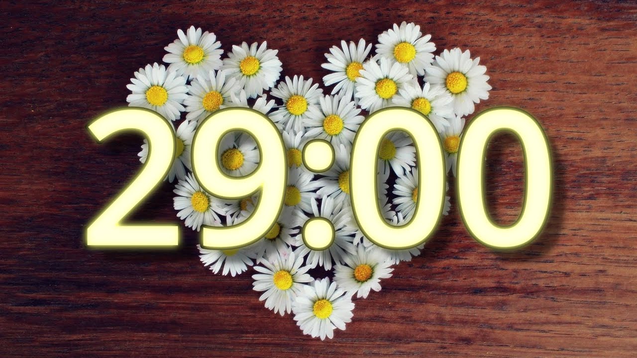 29 Minute Timer | Valentine's Day Timer