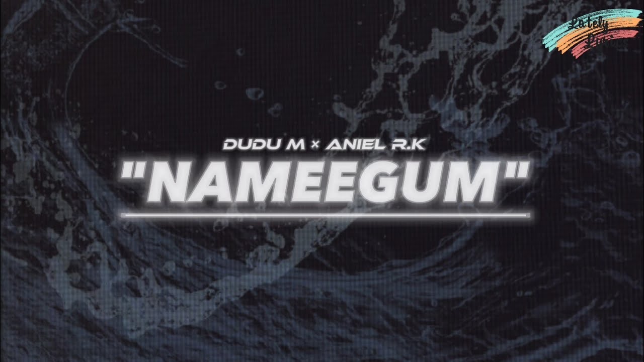 Nameegum - Dudu M × Aniel R.K.  LYRICS