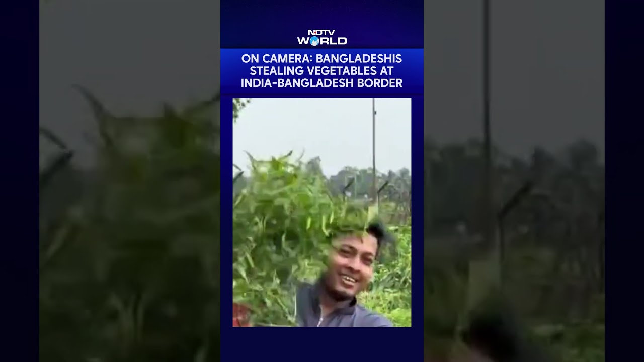On Camera: Bangladeshis Stealing Vegetables At India-Bangladesh Border