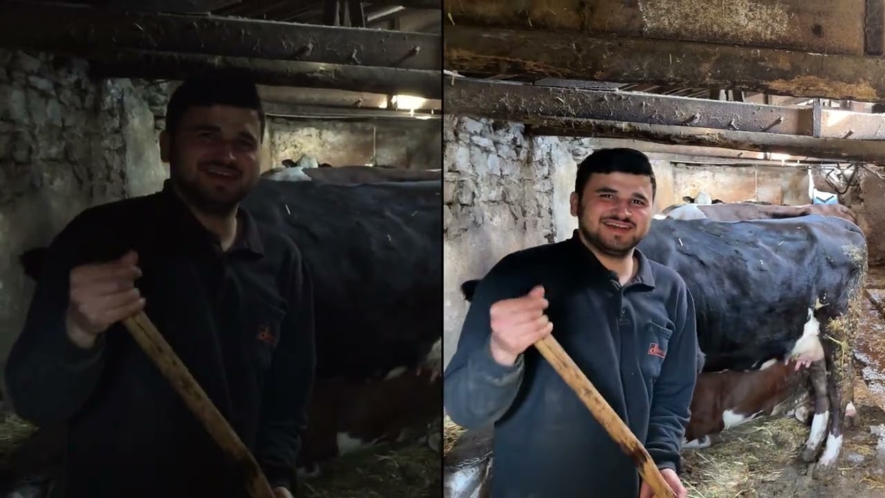 iPhone 6 vs iPhone 17 Pro