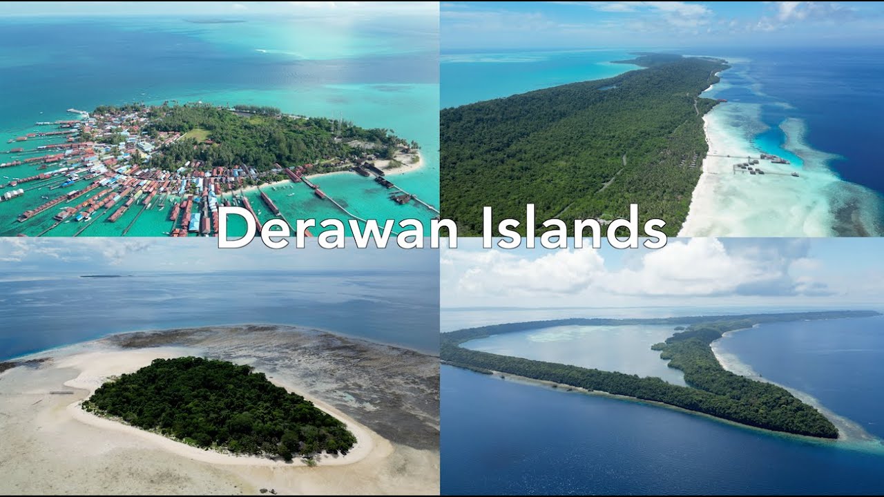 Spiralling Barracuda in Derawan Islands