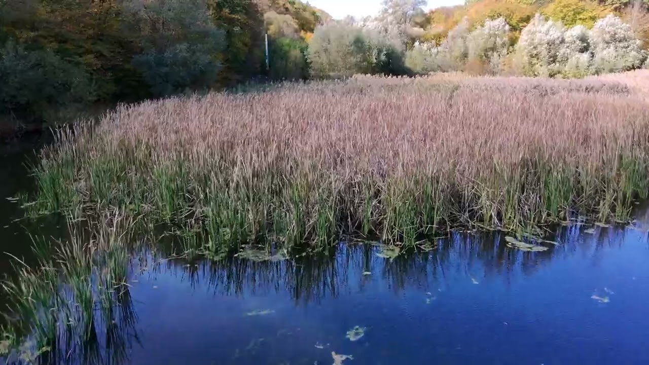 Neamt County  Autumn Pastel