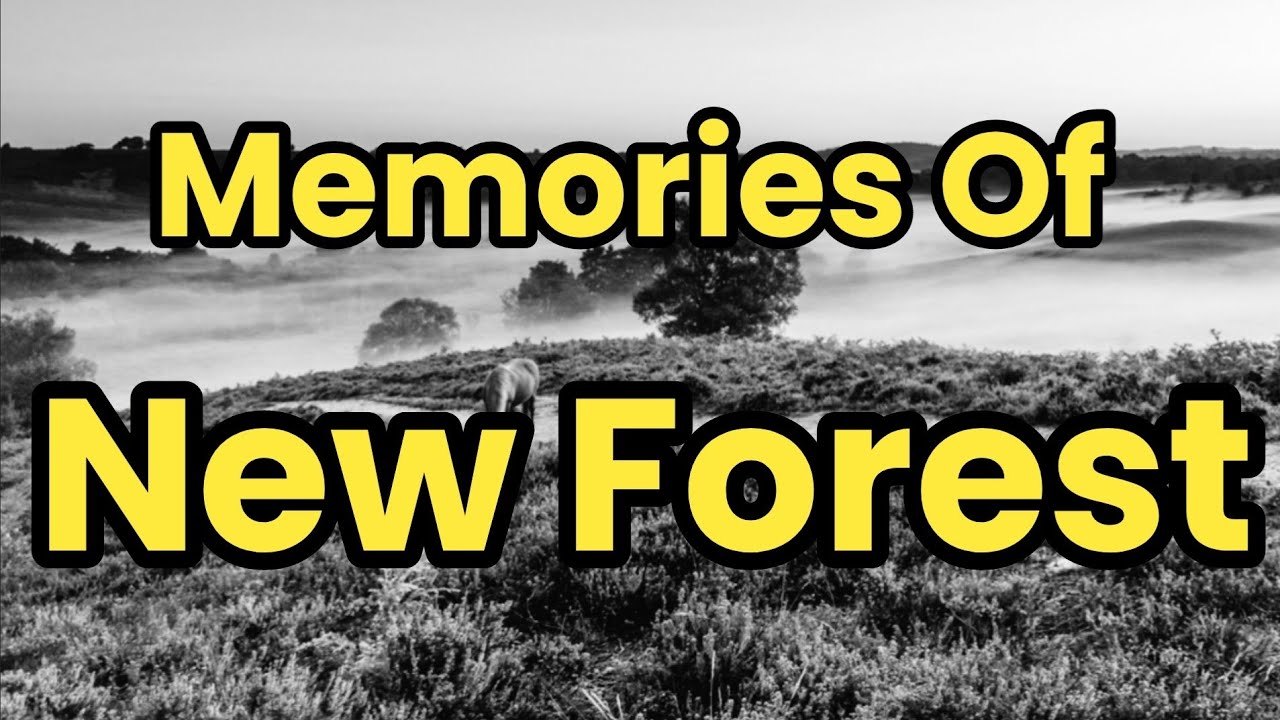 MEMORIES OF THE NEW FOREST|DOCUMENTARY| RARE IMAGES