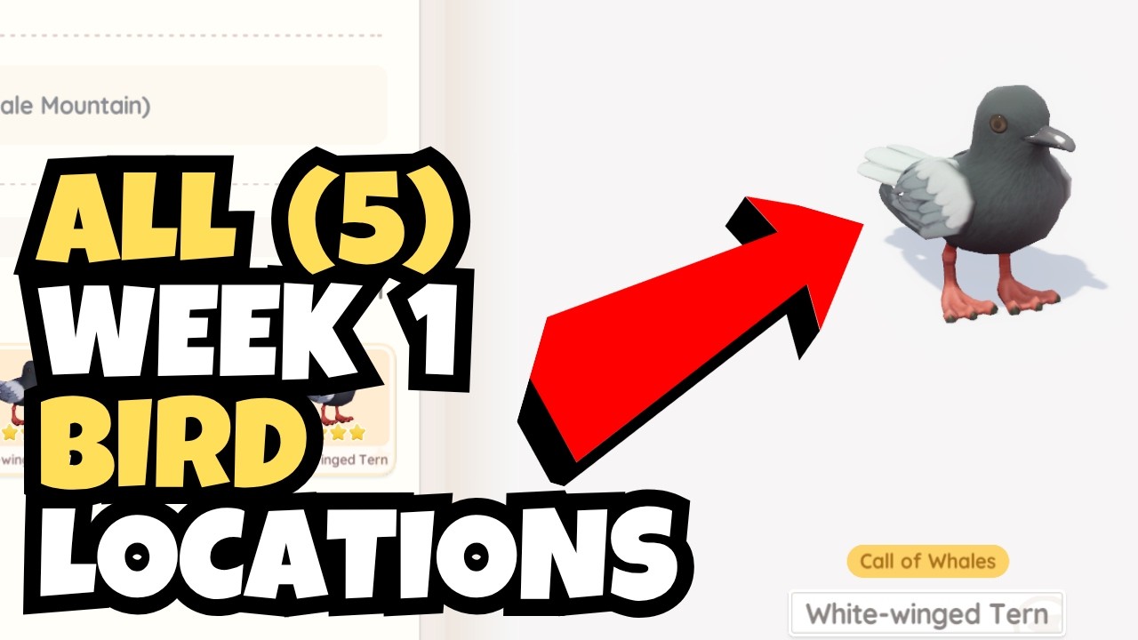 All 5 New Bird Locations (Week 1) | Heartopia Guide