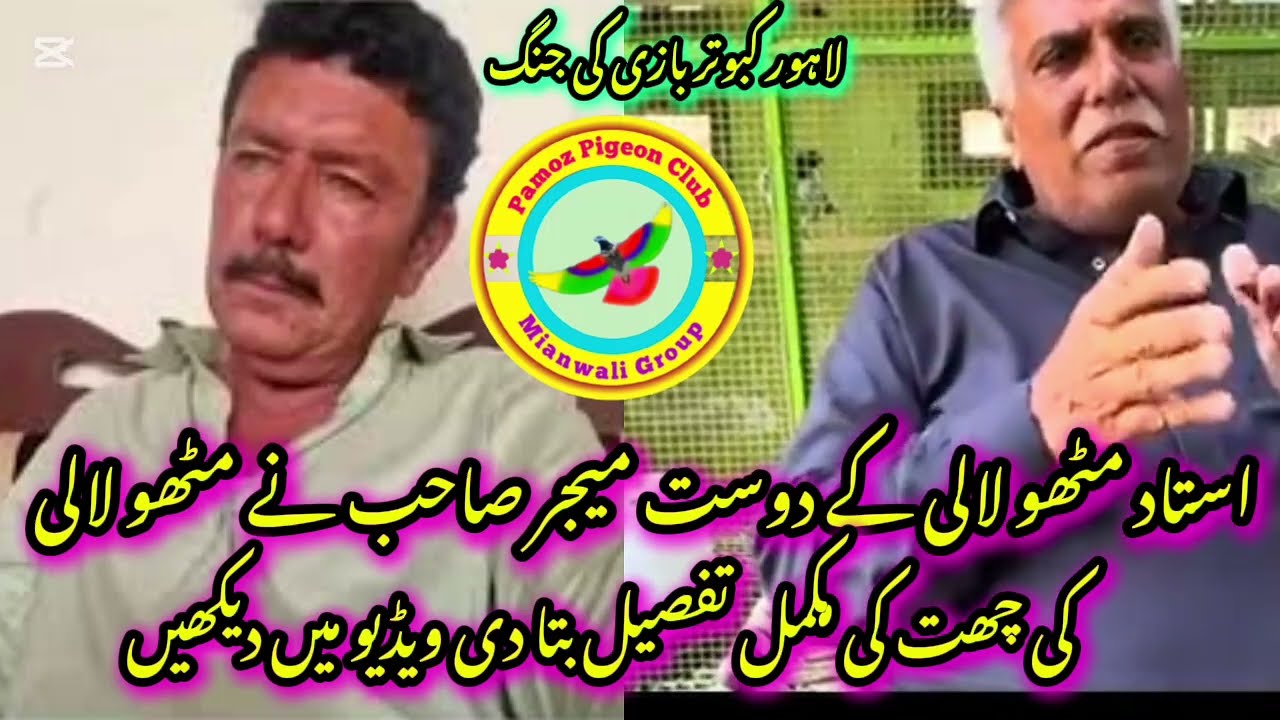 Famous Ustad Major Sahb Mithu Lali Ke History Bataty Huy Watch Full Video #pigeon #mithulali 