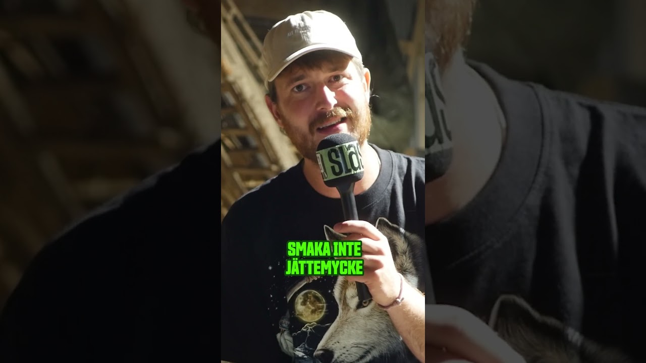 Hade du v&aring;gat bjuda Theo p&aring; mat?