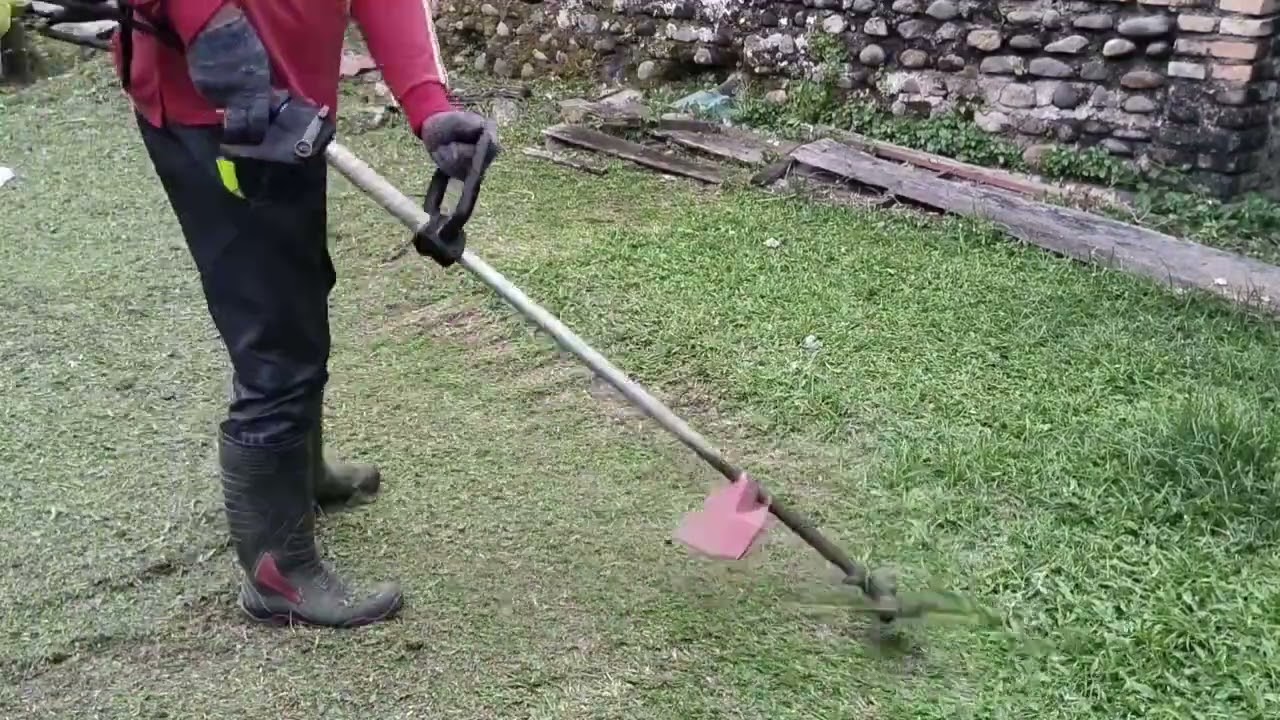 Full Speed! Eksekusi Rumput Liar di Sekeliling Rumah #potongrumput #bersihbersih 