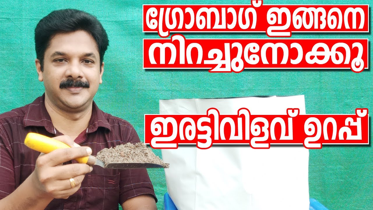 ഗ്രോബാഗ് നിറക്കുമ്പോൾ ശ്രദ്ധിക്കേണ്ട കാര്യങ്ങൾ | How to fill grow bag | Malayalam Krishi Video