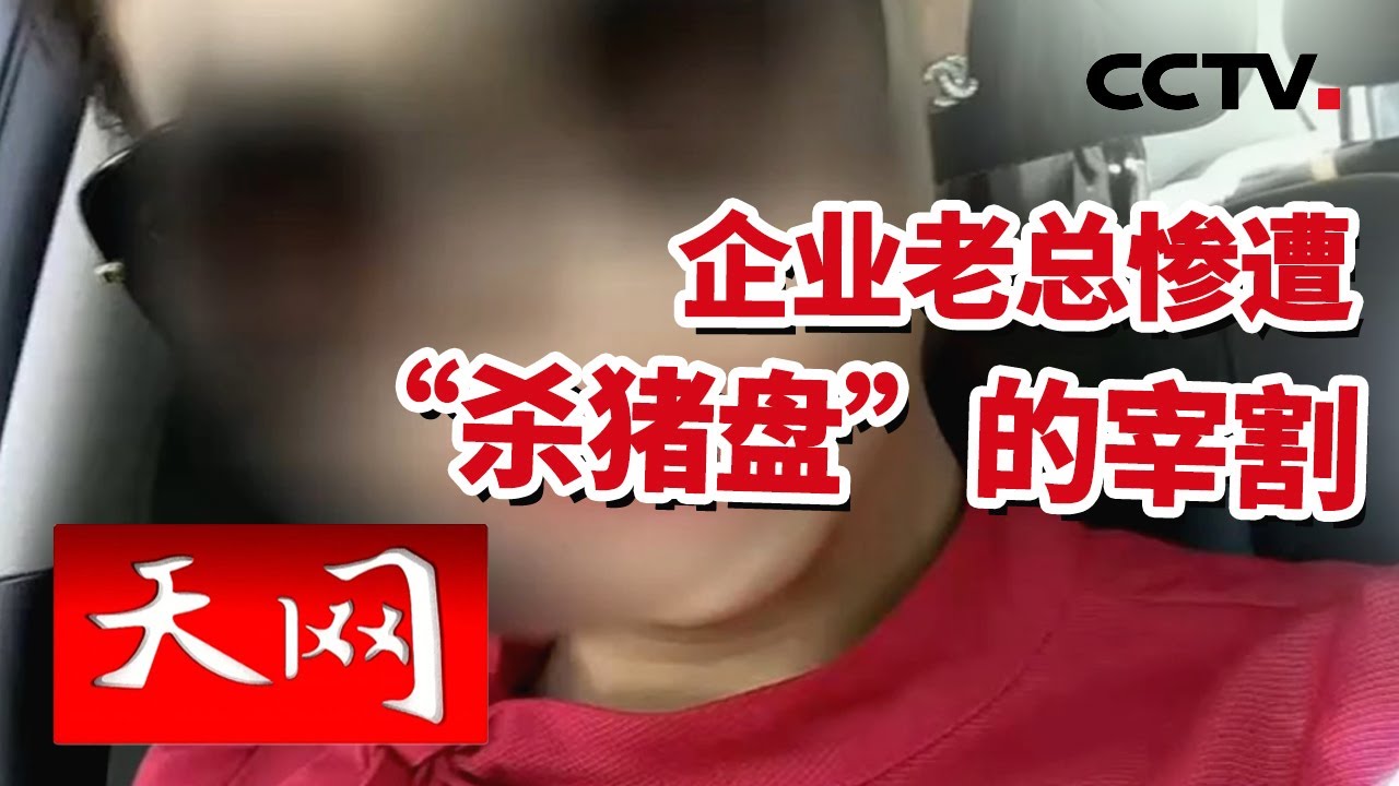 《天网》美人关难过？欲望作祟 企业老总惨遭“杀猪盘”的宰割 | CCTV社会与法