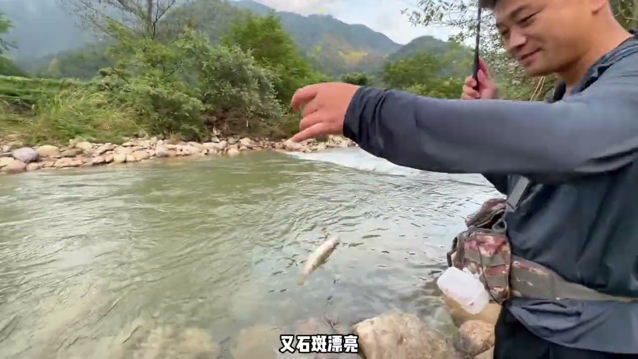 急流中的小缓流 石斑 苦花狂拉#钓鱼 #钓鱼人 #钓鱼分享 #vlog #分享