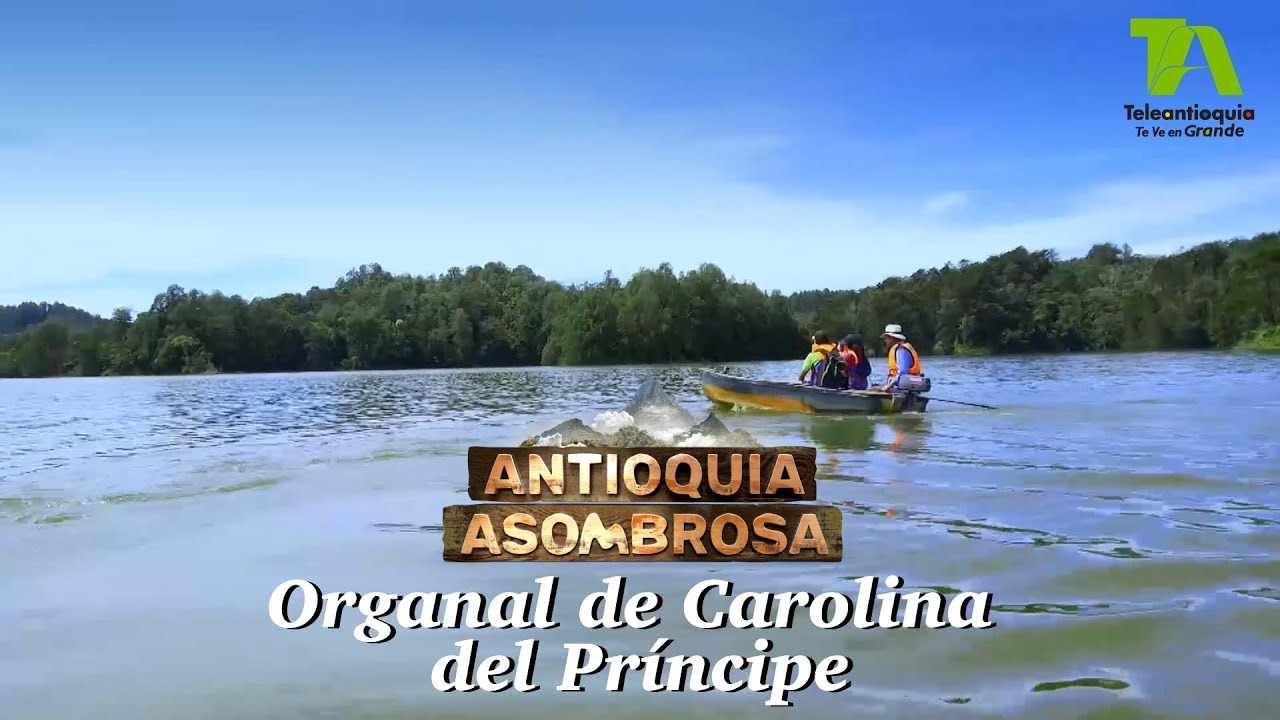 Antioquia Asombrosa, Organal de Carolina: la fuerza de lo interior - Teleantioquia
