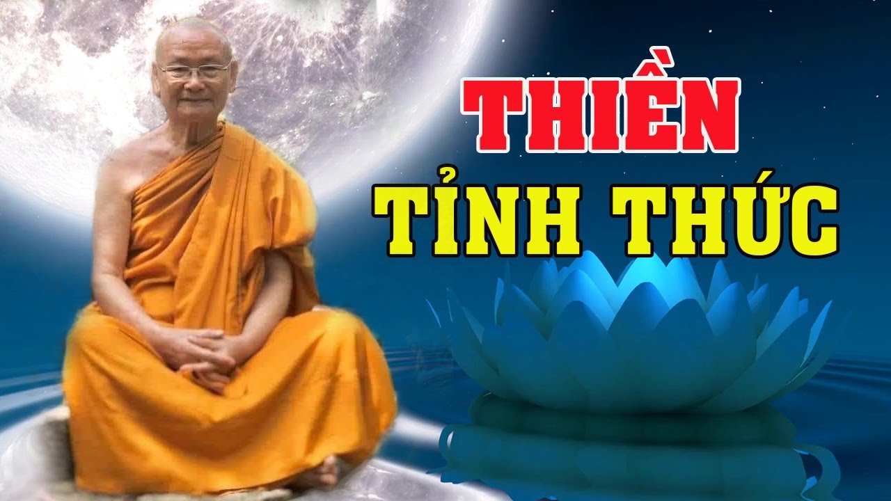 Thiền Tỉnh Thức Với Vô Ngã | Thầy Viên Minh Giảng | Pháp Thoại Vấn Đáp