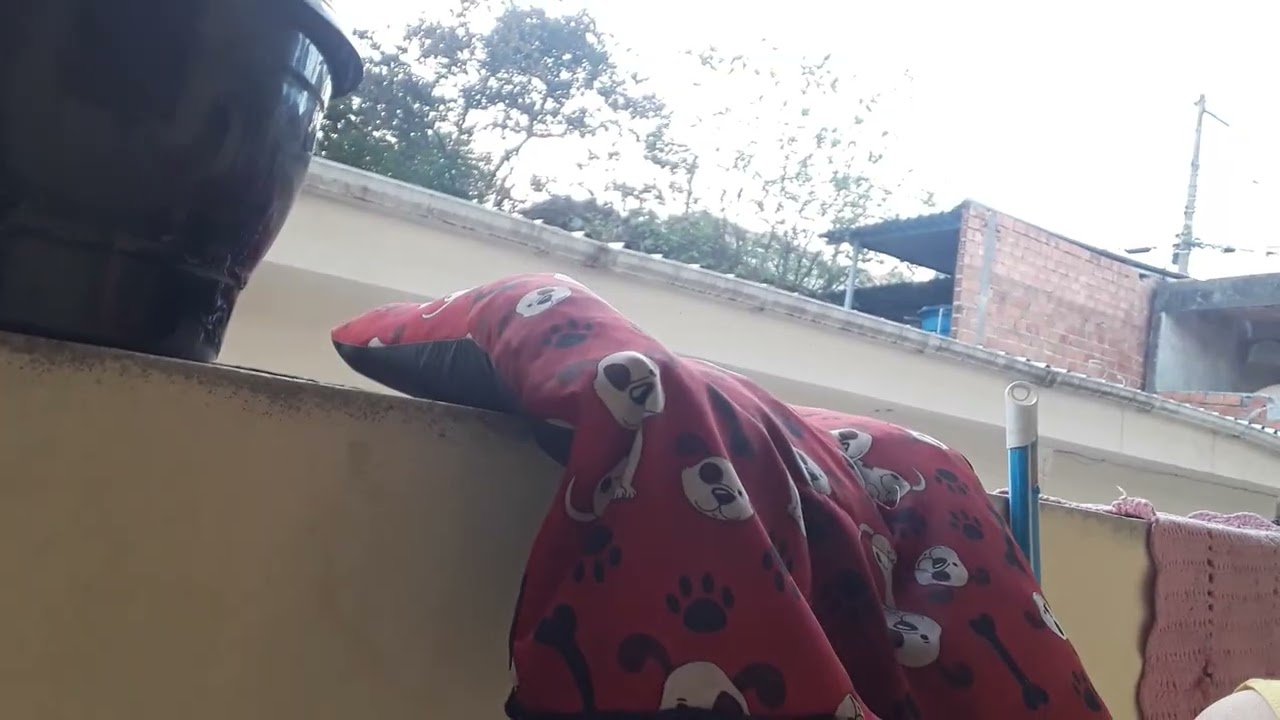 Lavando a copa da minha casa
