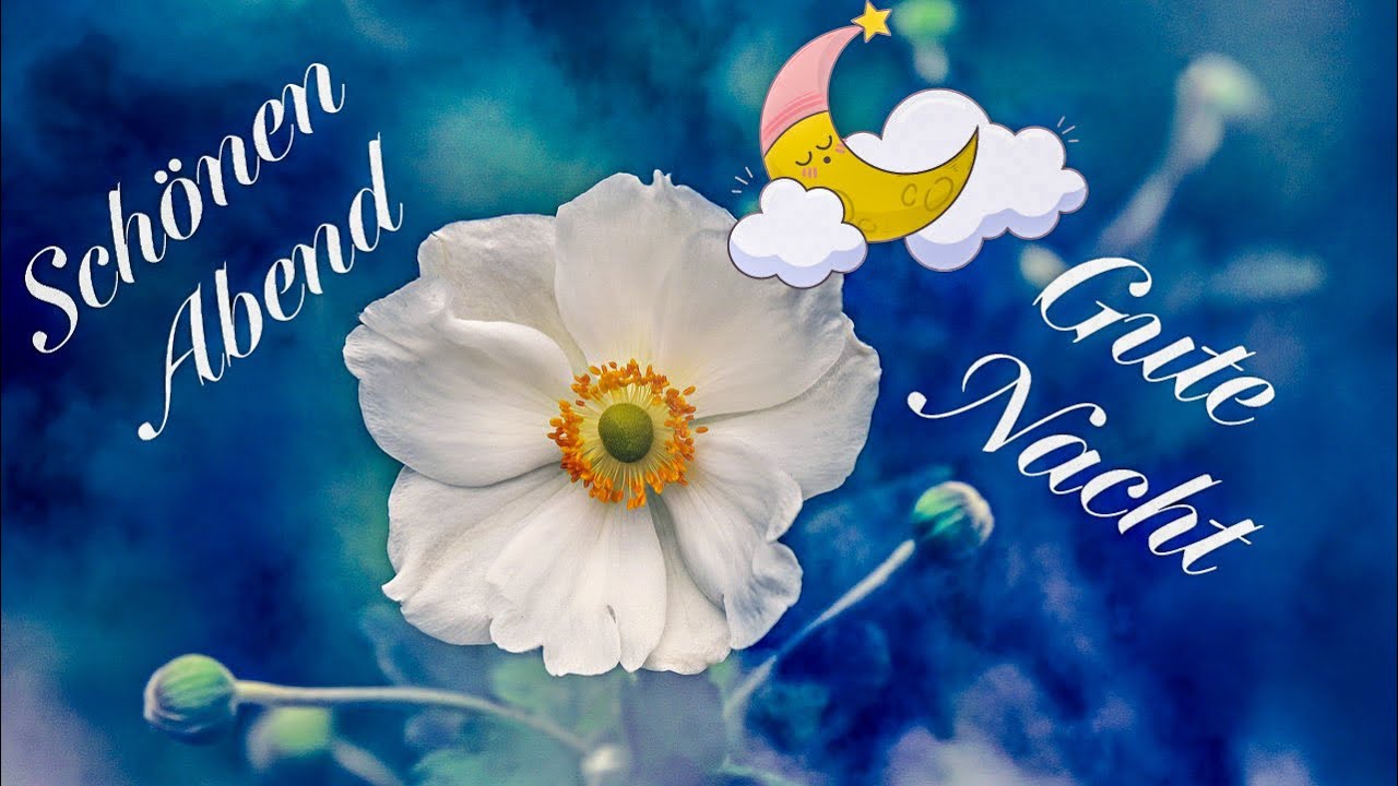 Abendgruß nur für Dich🌟ein lieber gute Nacht Gruß