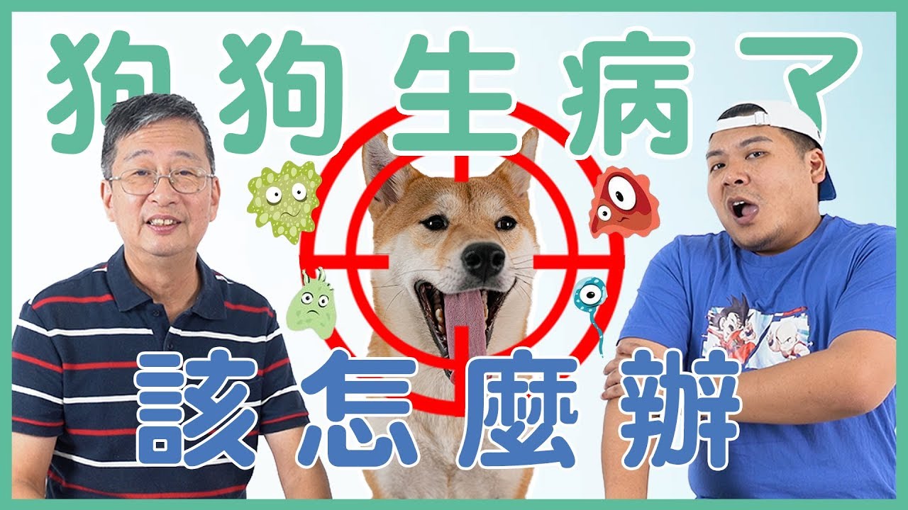 狗狗生病了，該怎麼辦？｜#｜EP8【元氣動物病院】