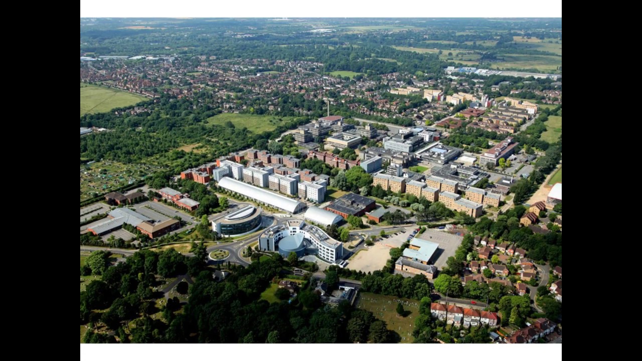 MSc Management – Online Information Session with the Course Director, 28 June 2017