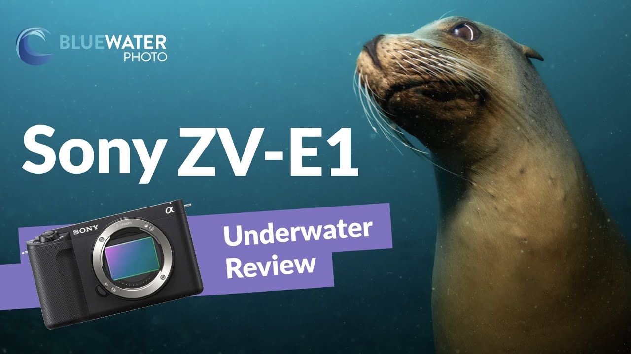 Sony ZV-E1 Review for Underwater Video