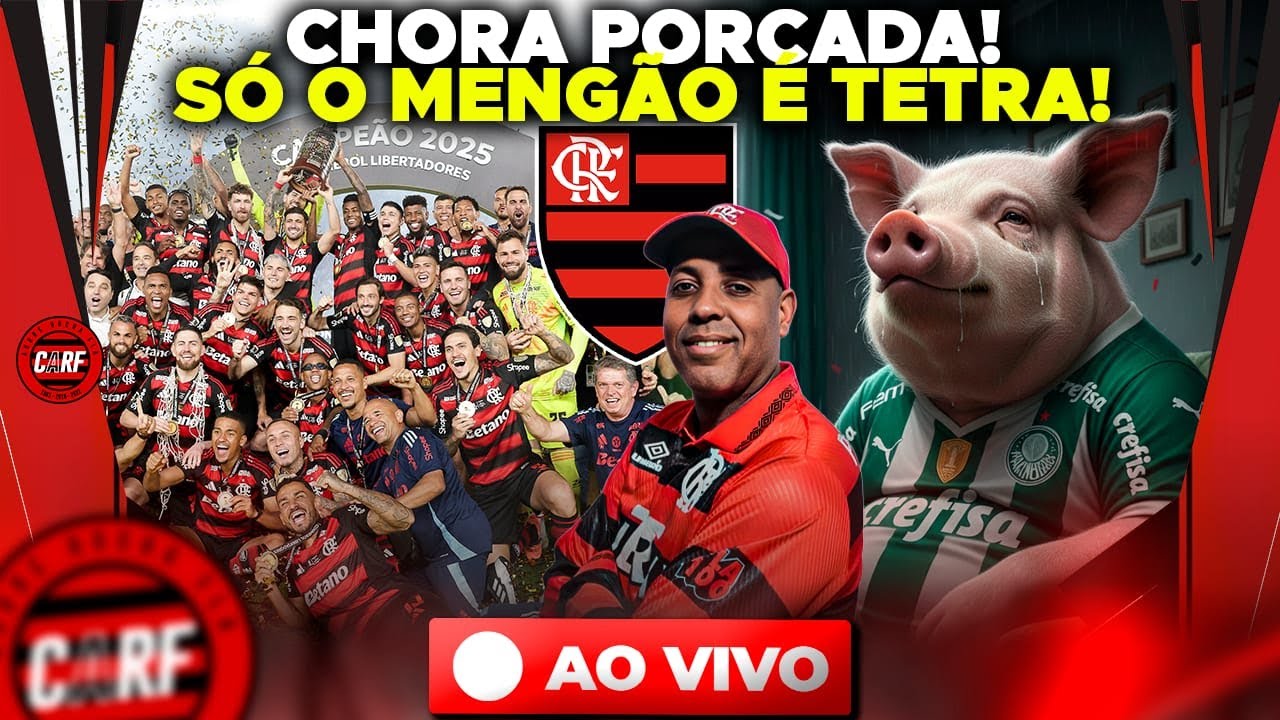 CHORA PORCADA! S&Oacute; O MENG&Atilde;O &Eacute; TETRA!