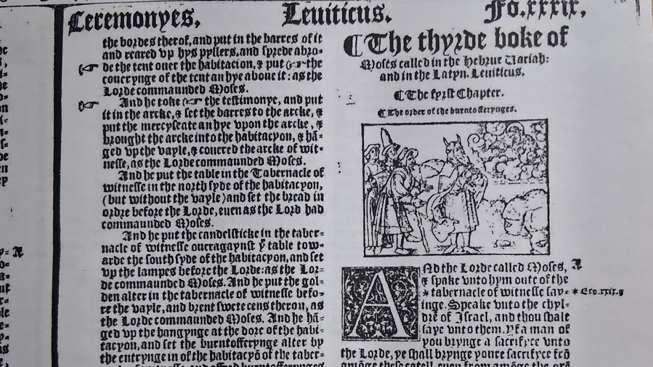 Great Bible Reading:  Exodus 40 - Leviticus 5