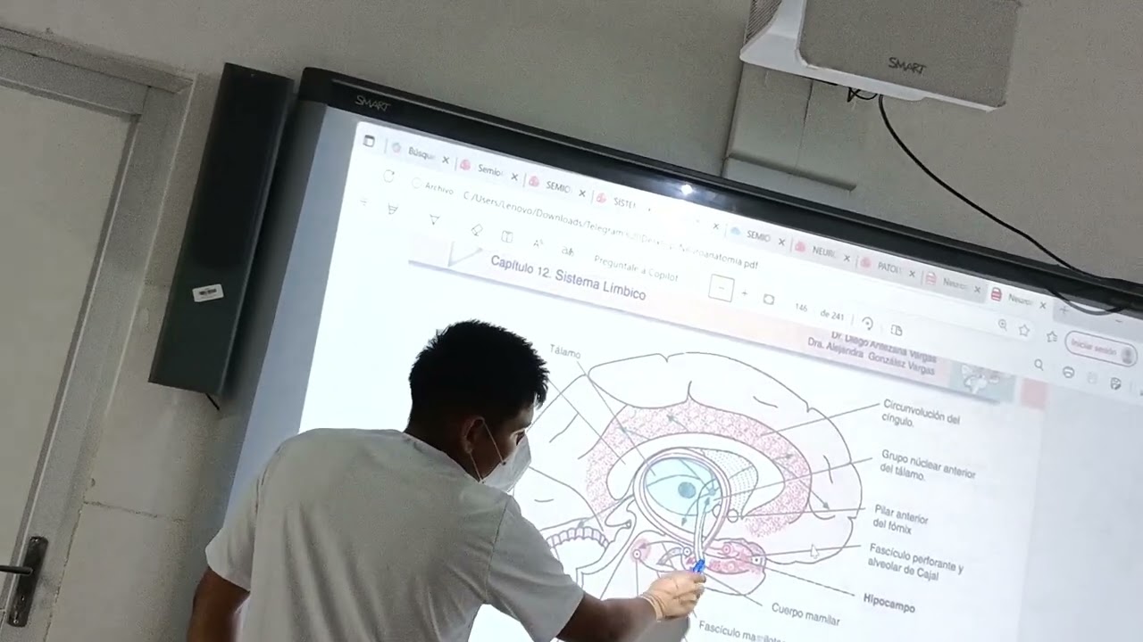 Sistema Límbico Parte 2 - Aux. Rolando B1