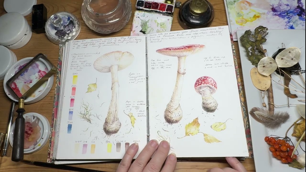 Sketchbook 2024 Completed!