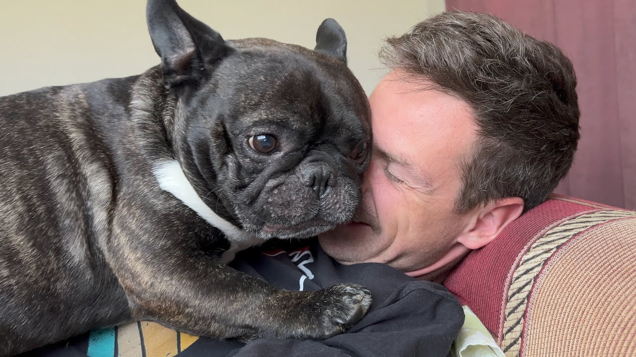 First a hug, then a walk | French Bulldog