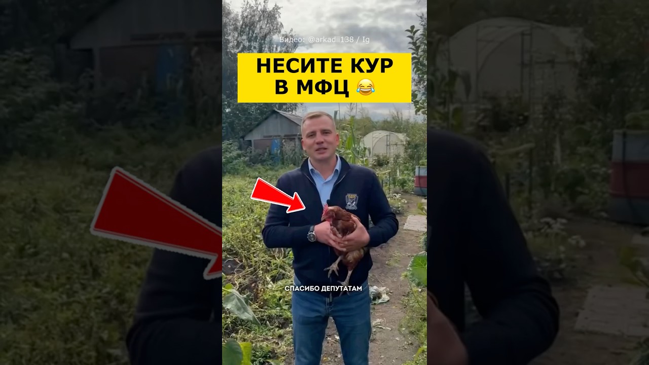 🐓 САМЫЙ &laquo;НУЖНЫЙ&raquo; ЗАКОН В РФ СЕГОДНЯ