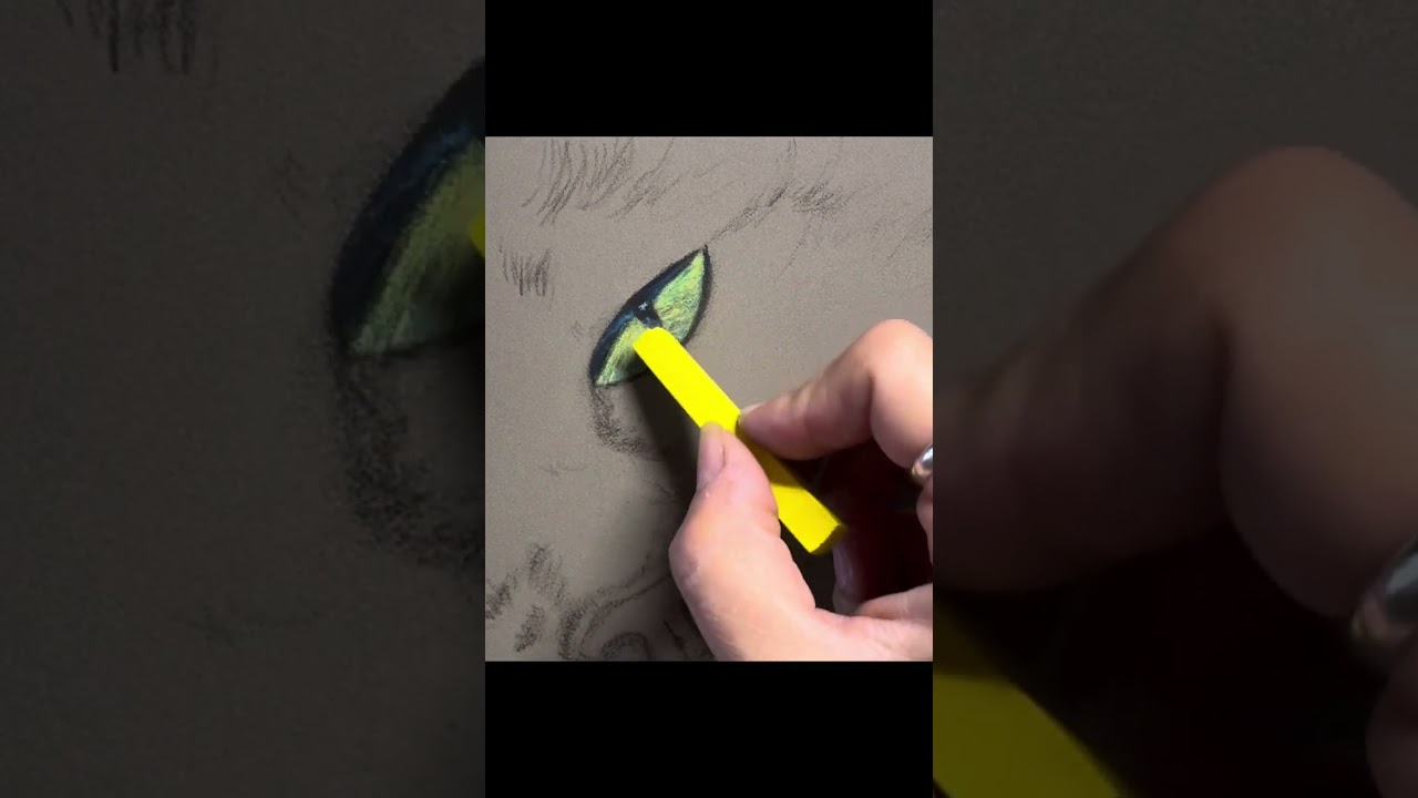 Tutoriel : Test canson et marques Lyra Rembrandt 😻 œil de chat Cannelle