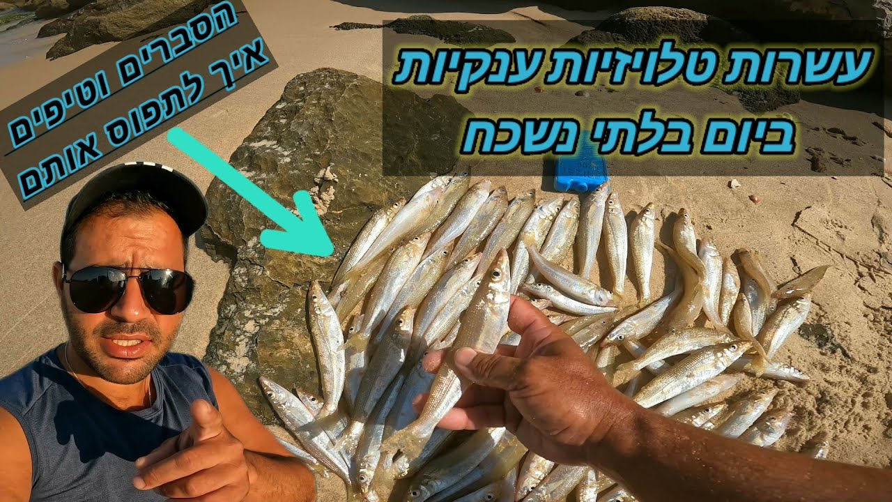 דיג טלויזיות ענקיות בים.עשרות דגים ביום בלתי נשכח.טיפים והסברים איך לתפוס מה הפיתיון וניקיון הדגים.