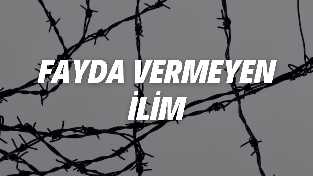 FAYDA VERMEYEN İLİM
