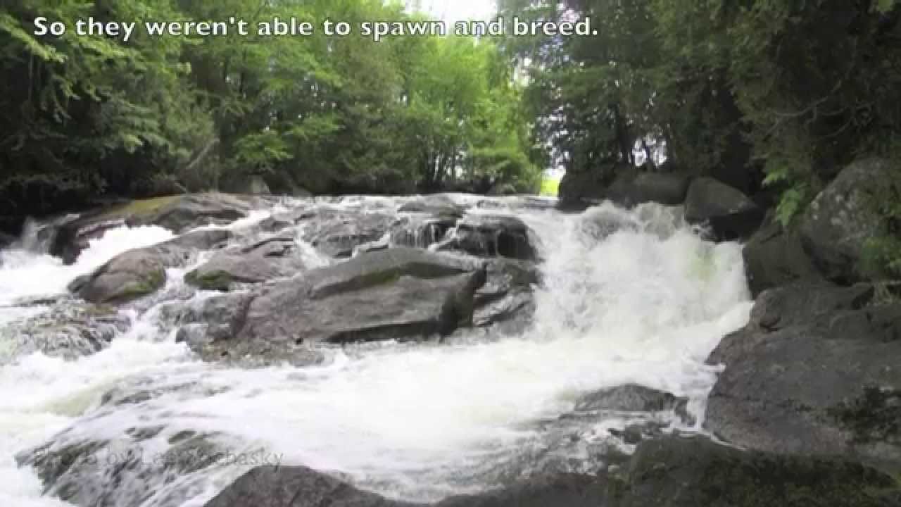 The St. Croix River