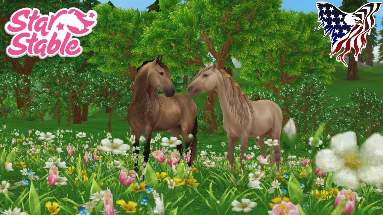 Das Jorvik/Rocky Mountain Horse 🐎 ( Star Stable Online Rassenvorstellung)