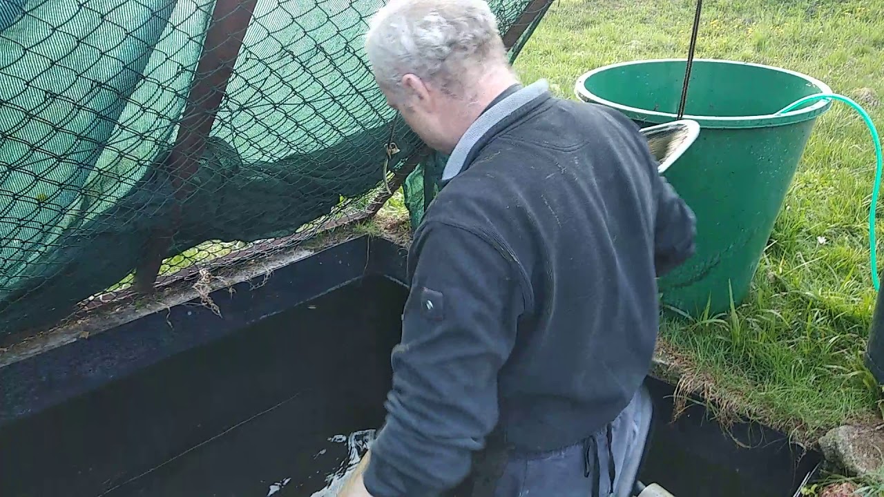 Výlov pstruzi (duben 2019) - 3. část