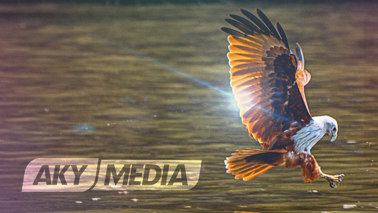 AKYC2019 Freedom: Highlights