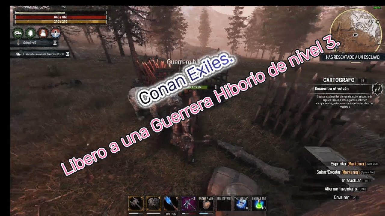 Conan Exiles. I release a level 3 Hyborian Warrior.