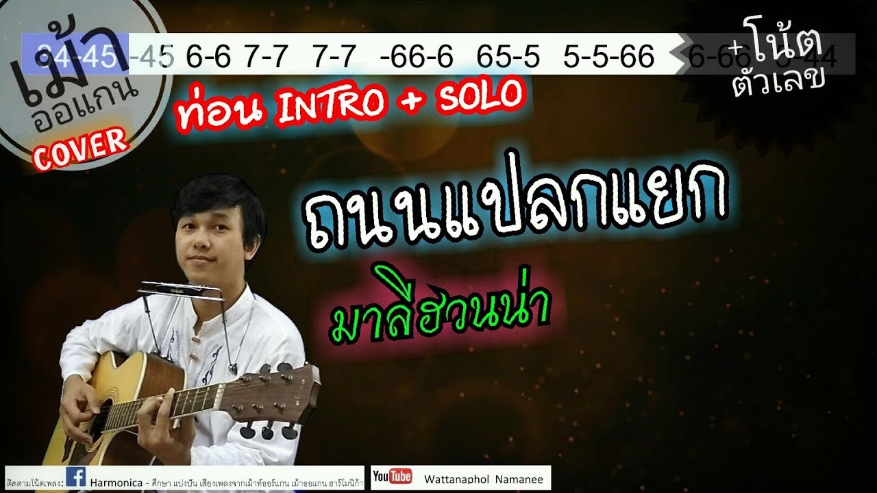 ถนนแปลกแยก - มาลีฮวนน่า【ท่อนโซโล่+โน้ตตัวเลข เม้าท์ออแกน Harmonica cover】
