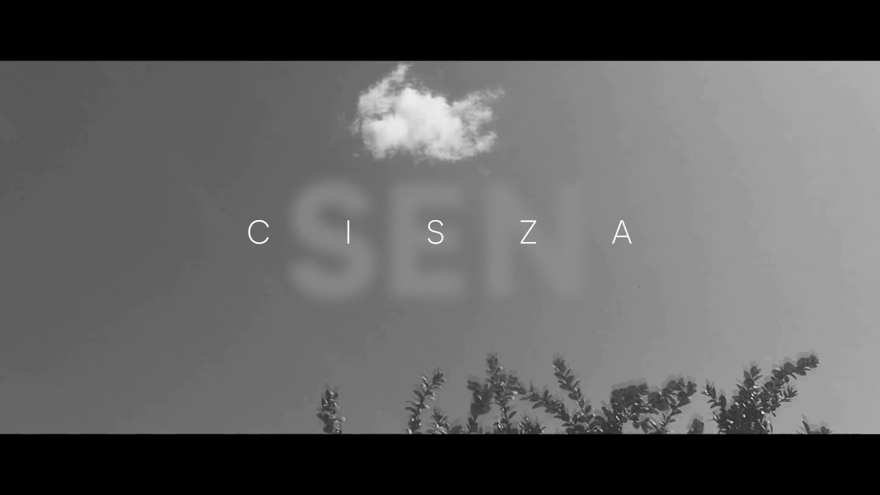 Sen - Cisza (Official Video)