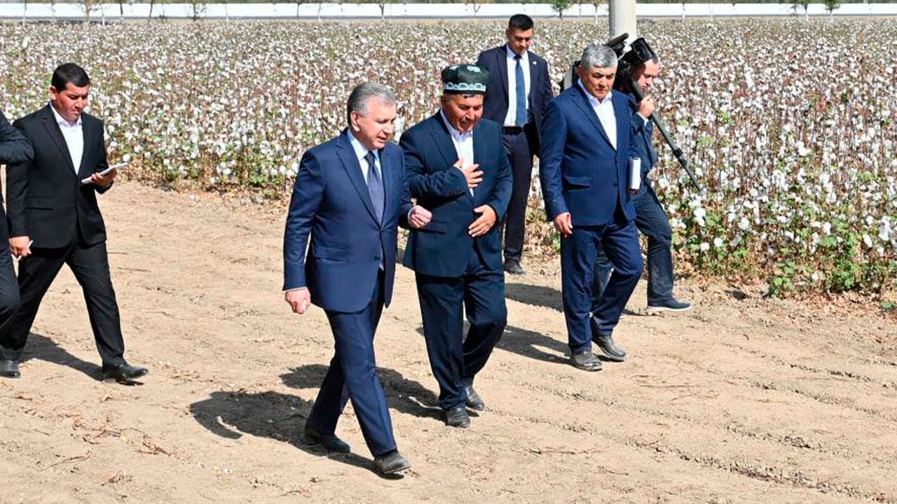 Шавкат Мирзиёев аҳоли ҳаёти билан танишиш мақсадида Сирдарё вилоятига келди