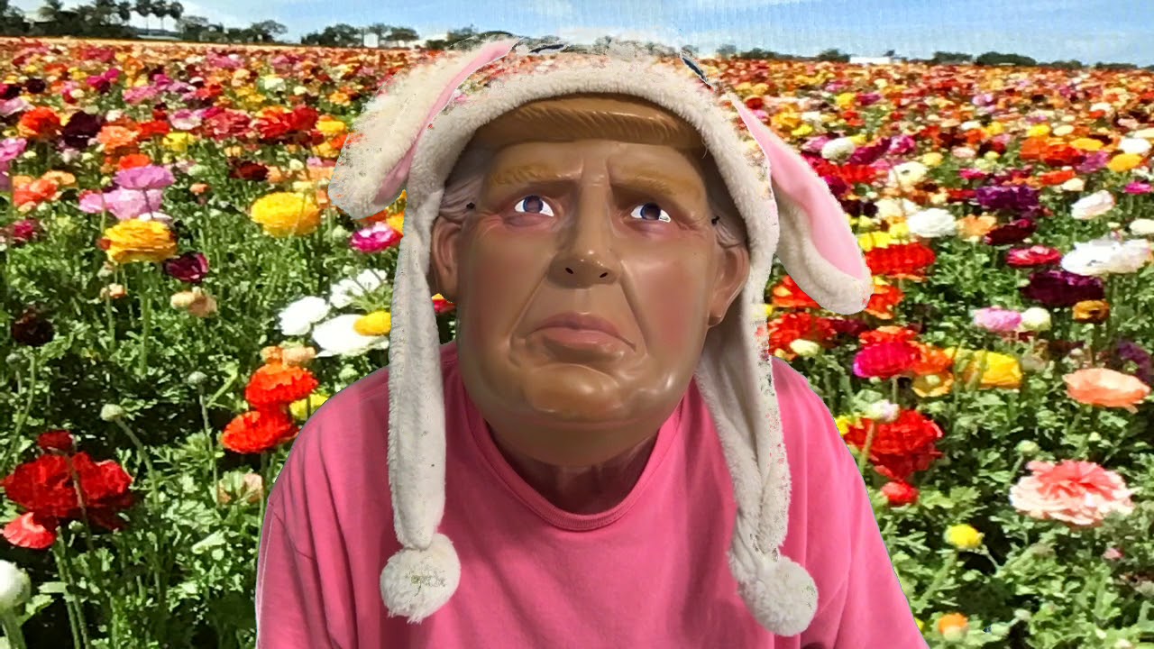 Hi,my name is Reggie;Ray Sipe;Comedy;Parody