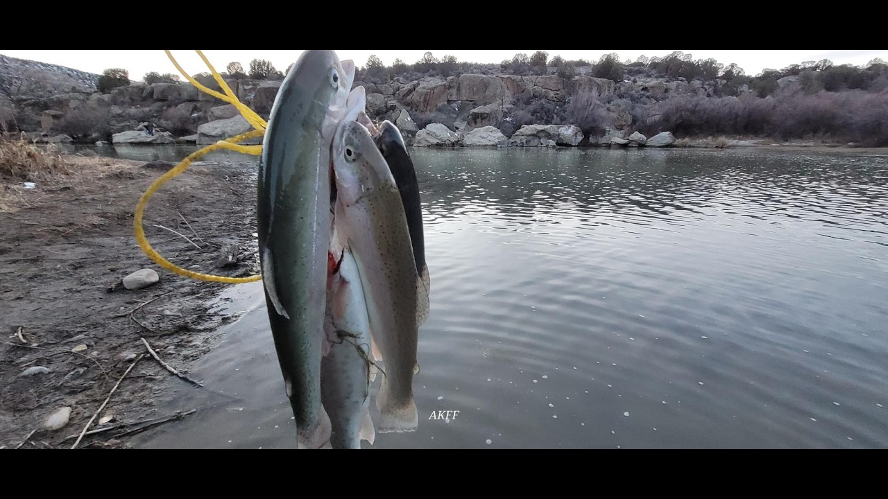 Murky San Juan River Tailwater 2026 end Feb Fly Fishing, Biting Very Good!