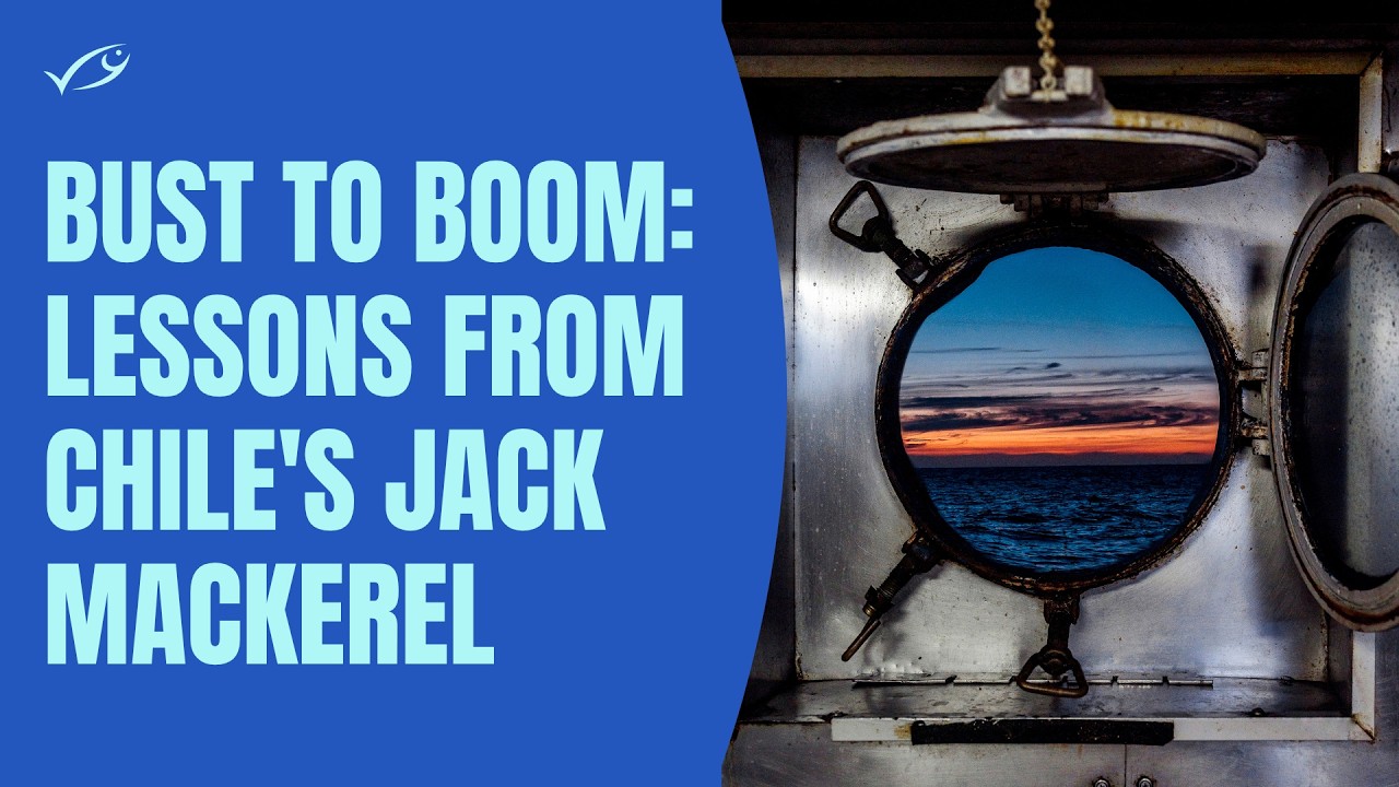 Bust to boom: Lessons from Chile's Jack Mackerel