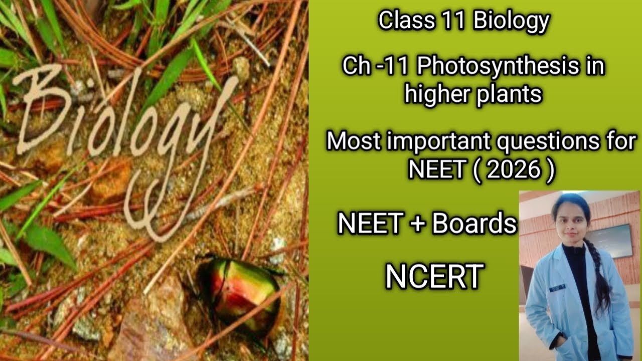 Class 11 Biology ch -11 Photosynthesis in higher plants  | NEET 2026 MCQs + NCERT Explanation 