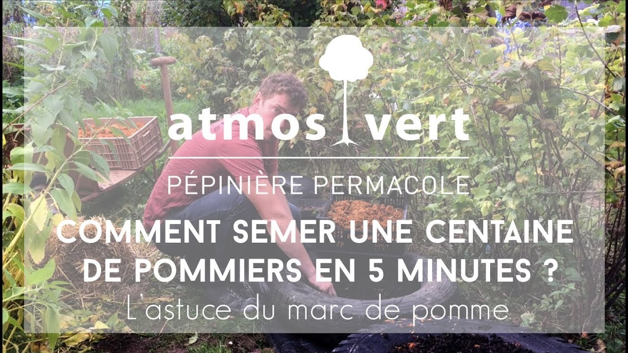 ATMOSVERT Pépinière permacole I Comment semer une centaine de pommiers en 5 minutes ?