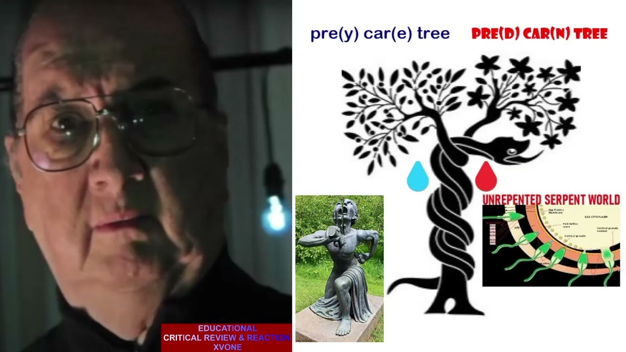 Джордан Максвелл - Цвета и политика